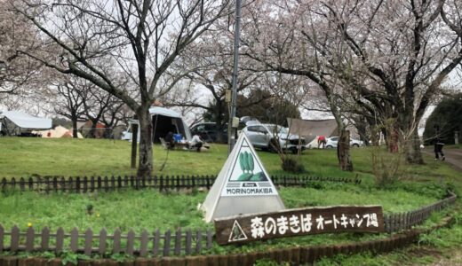 【千葉】お花見キャンプにおすすめ！桜が見れる森のまきばオートキャンプ場へ行ってみた！レビュー