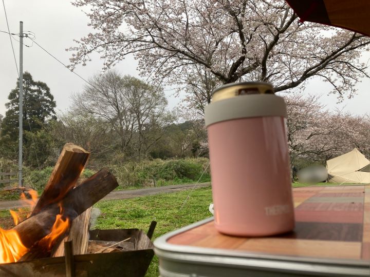 桜とお酒と焚火