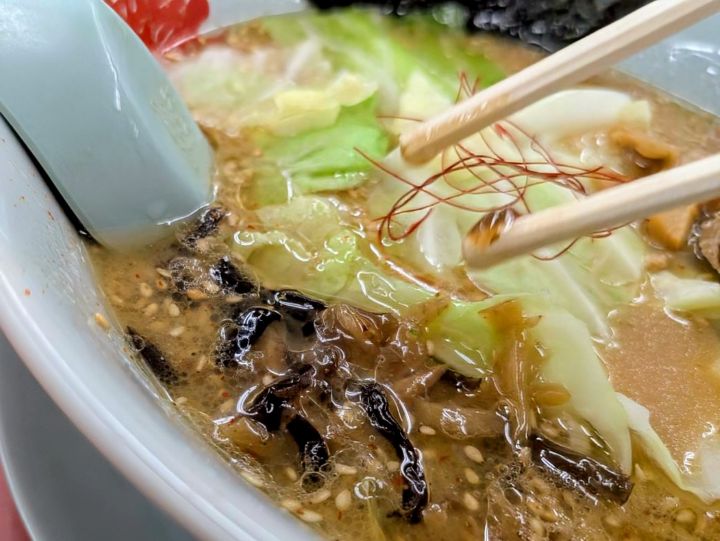 山岡家 濃厚白みそとんこつラーメン