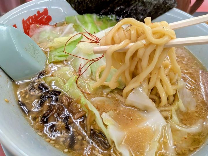 山岡家 濃厚白みそとんこつラーメン