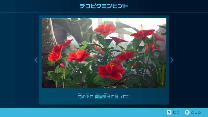 とこなぎの浜辺　デコピクミンヒント