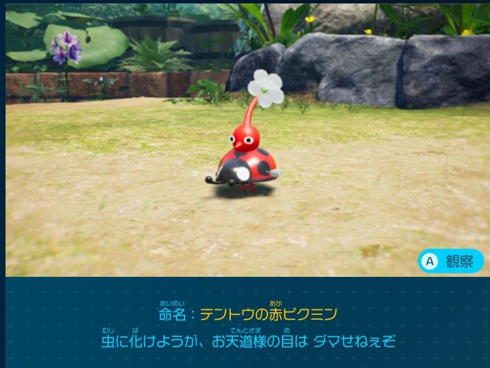ピクミン4 ひだまりの庭で入手できるデコピクミン テントウの赤ピクミン
