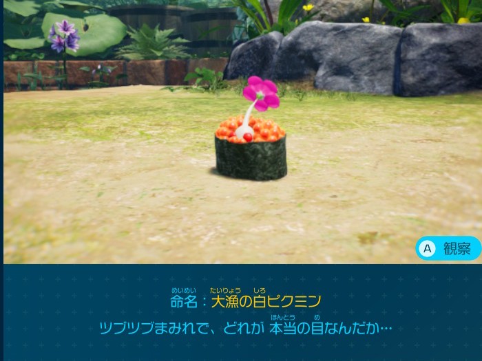 ピクミン4 とこなぎの浜辺で入手できるデコピクミン 大漁の白ピクミン