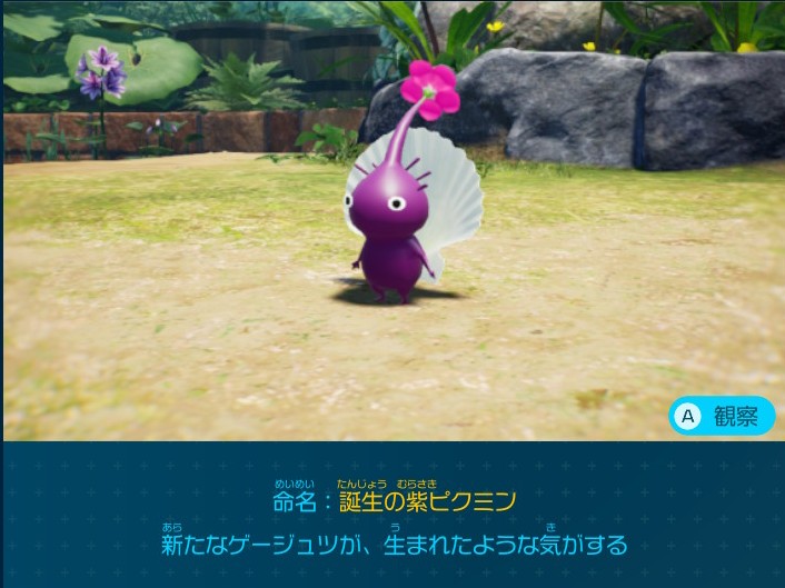 ピクミン4 とこなぎの浜辺で入手できるデコピクミン 誕生の紫ピクミン