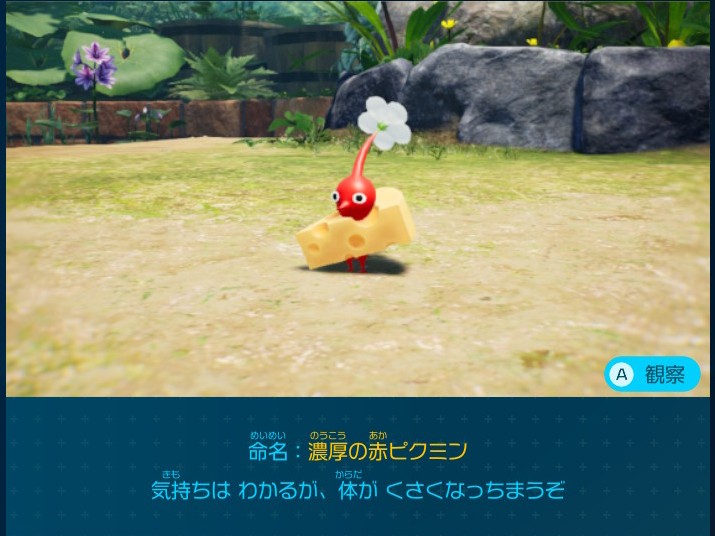 ピクミン4 巨人のかまどで入手できるデコピクミン 濃厚の赤ピクミン