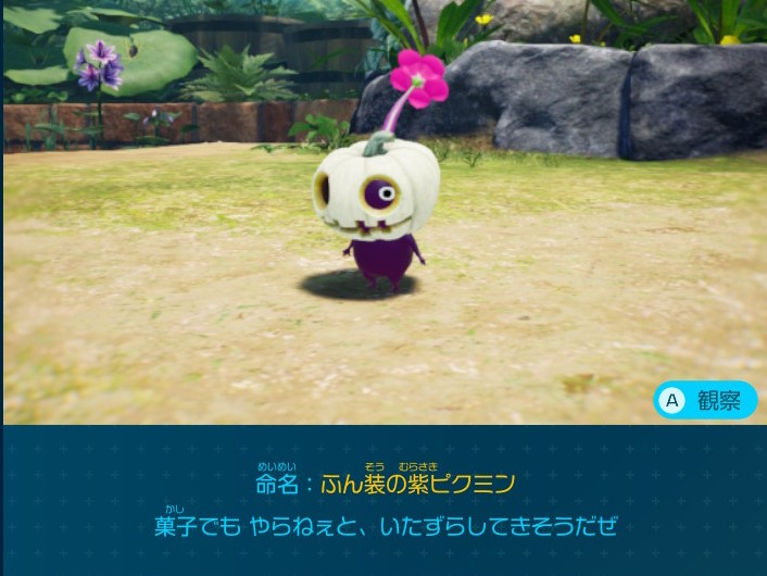 ピクミン4 追憶の原生林で入手できるデコピクミン ふん装の紫ピクミン