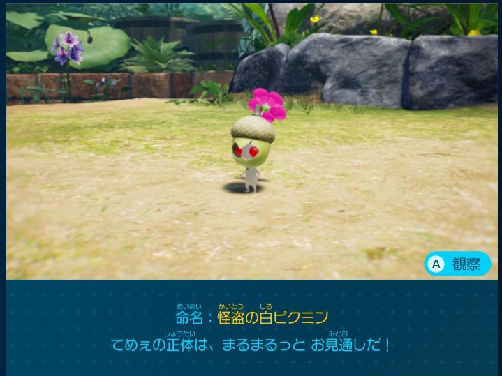 ピクミン4 追憶の原生林で入手できるデコピクミン 怪盗の白ピクミン