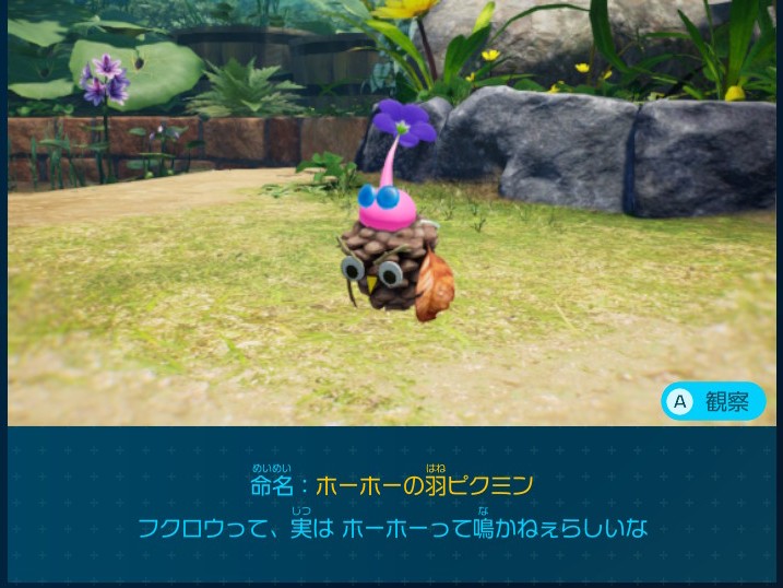 ピクミン4 追憶の原生林で入手できるデコピクミン ホーホーの羽ピクミン