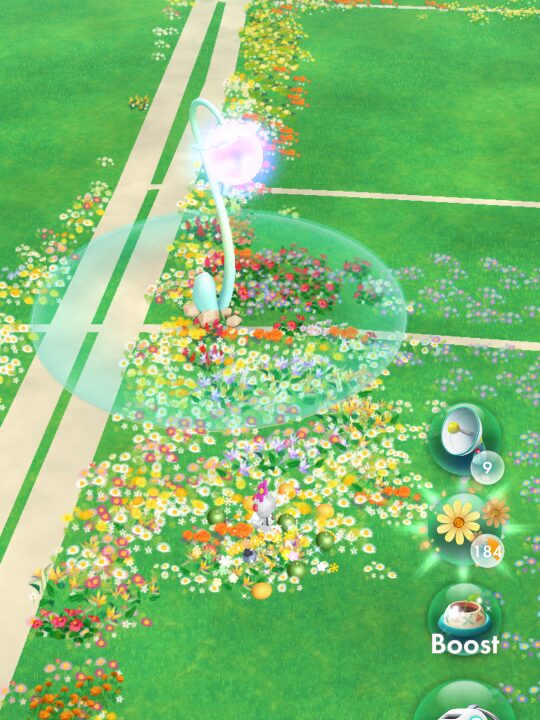 ファミマに出現した銀の苗スポット