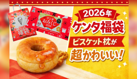 【2026年ケンタッキー福袋レビュー】引換券だけで元が取れる！ビスケット型お昼寝枕が可愛すぎた
