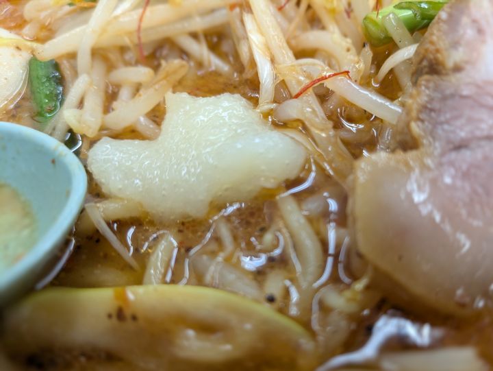 山岡家 G系特製味噌もやしラーメン