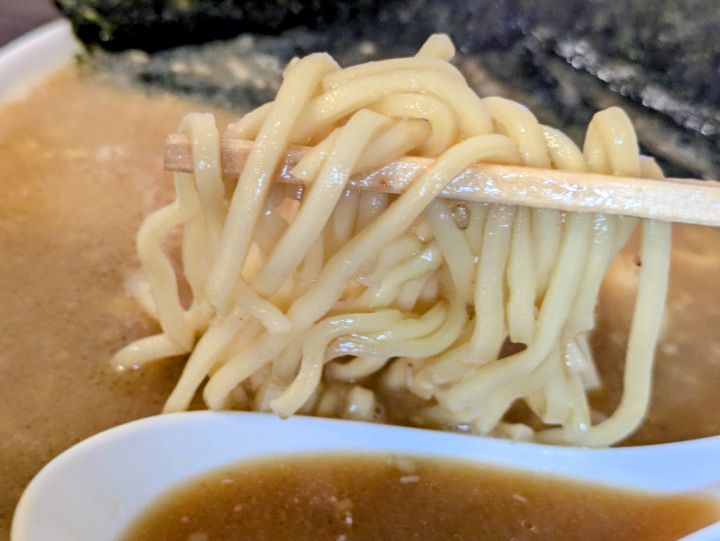 特製味噌ラーメンの太麺を箸で持ち上げている様子