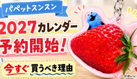 下のソーシャルリンクからフォロー